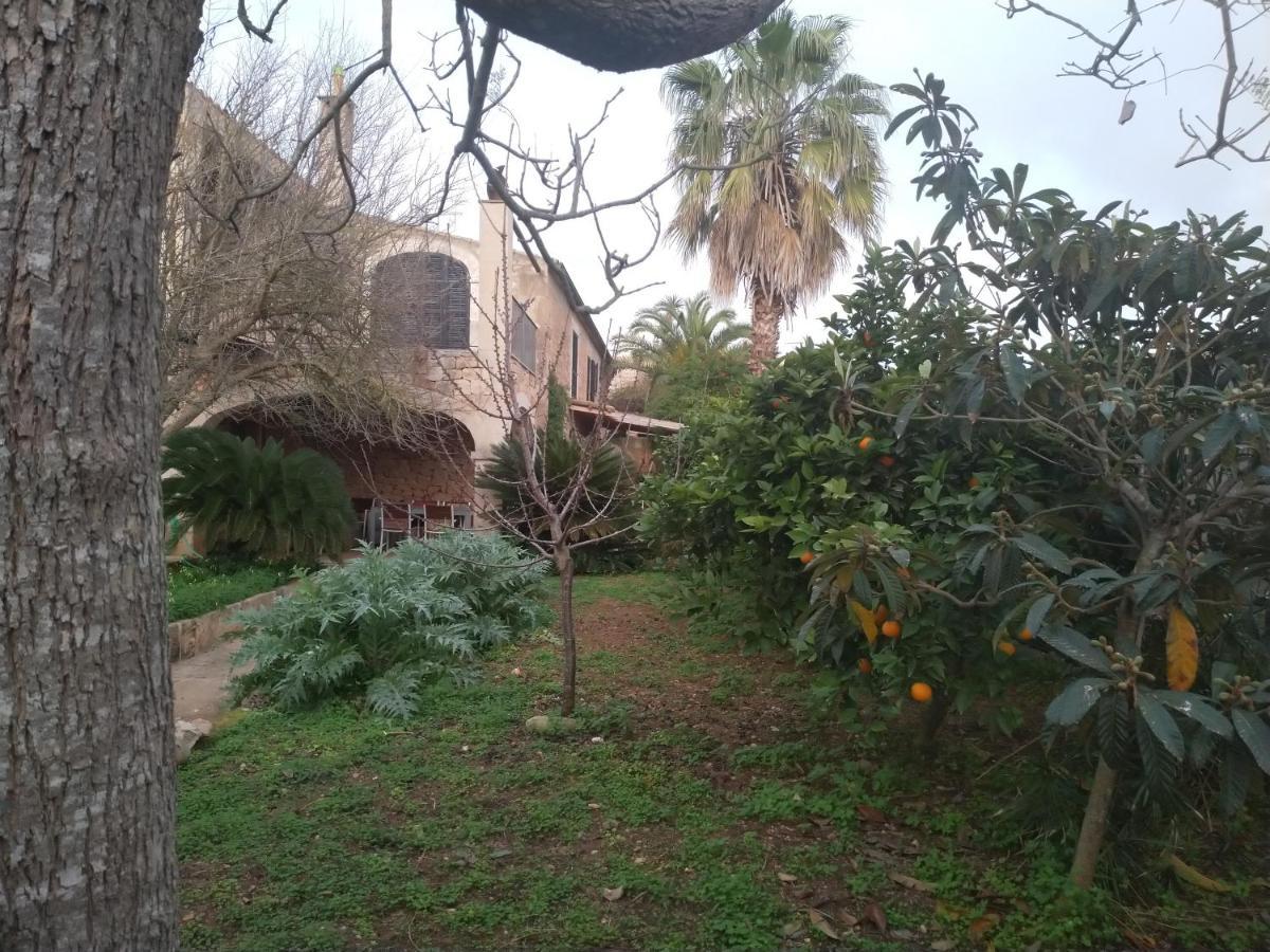Lujosa Casa Mallorquina Restaurada Ses Salines  Zewnętrze zdjęcie